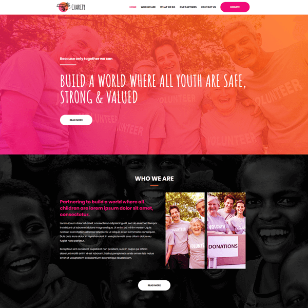 charity WordPress demo site screenshot
